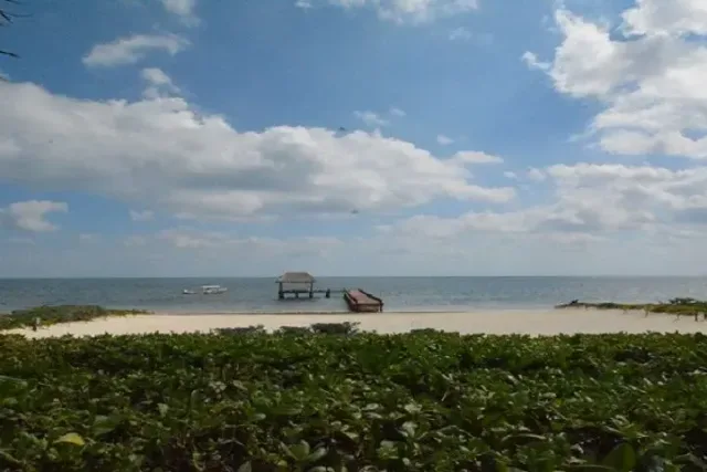 TERRENO EN VENTA EN PUERTO MORELOS