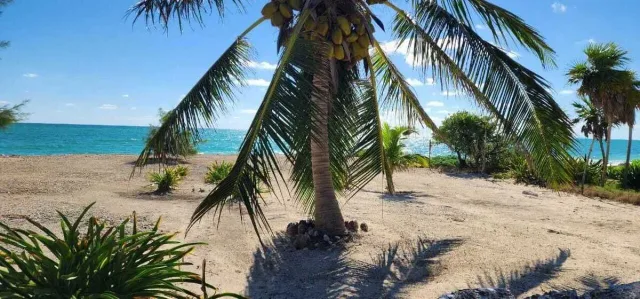TERRENO FRENTE AL MAR EN ISLA BLANCA