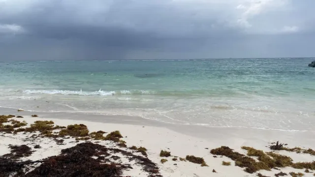 LOTE CON PLAYA EN LA RIVIERA MAYA